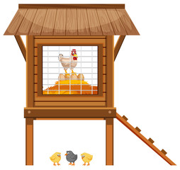 Chickens in the chicken coop on white background © brgfx