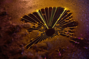 Yellow ferris wheel reflected in water from puddle at night