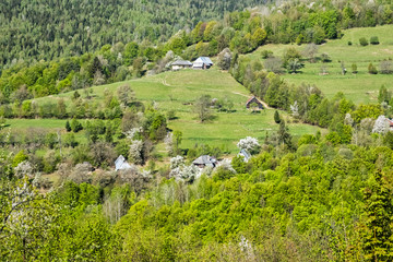 Fototapeta na wymiar Rural landscape, Muranska Zdychava, Slovakia, seasonal natural scene