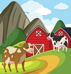 Farm scene with two cows and red barns on the farm