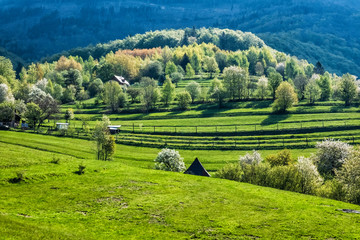 Rural landscape, Muranska Zdychava, Slovakia, seasonal natural scene