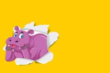 Background template design with wild hippo on yellow paper