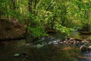 Landschaft im Nebeldurchbruchstal zwischen Serrahn und Kuchelmiß