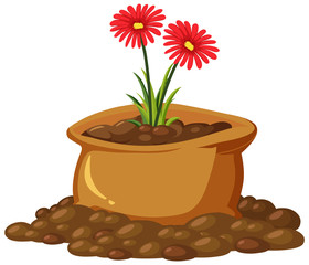 Beautiful flowers in brown bag on white background