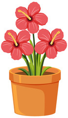 Red flowers in clay pot on white background