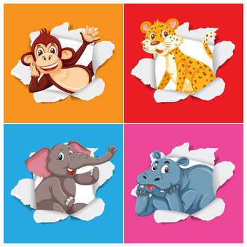 Background template design with wild animals