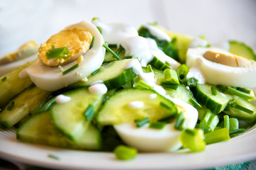 Healthy green salad with cucumbers, eggs and onions