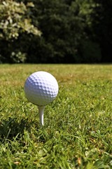 golf ball on tee