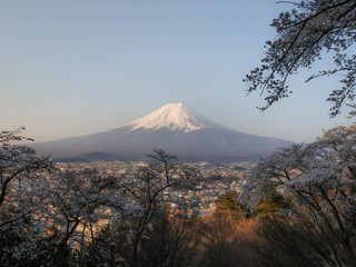 秘密の場所から撮った朝の富士山