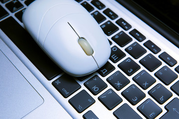 Wireless white mouse, laptop keyboard
