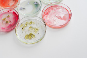 Viruses and bacteria in a Petri dish, various analyses in the laboratory.