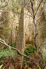 Sections of the abandoned Mount Paris Dam Tasmania