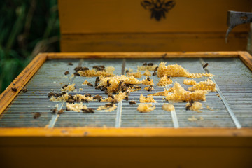 Obraz premium Grille métallique pour cadre de ruche