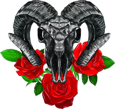 RAM skull and red roses