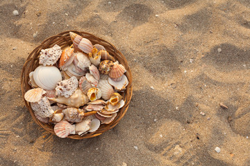 Collection of beautiful seashells in a basket on old wooden background. Summer beach vacation concept with copy space.