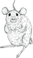 cute rat black and white symbol of new year