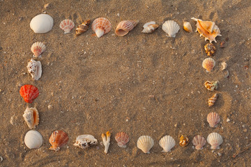 Beautiful shells in the shape of a frame on the sand. Free space, copy space.Concept of ecology, nature, nature without plastic.