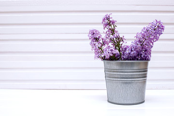 purple lilac branches in a tin bucket on a white wooden background