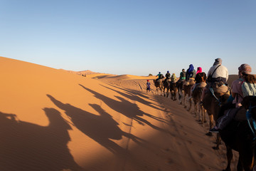 Fototapeta na wymiar Excursión Desierto del Sahara en Merzouga, Marruecos. Viaje en camello a un campamento nómada bereber.