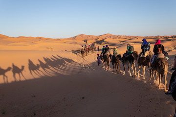 Fototapeta na wymiar Excursión Desierto del Sahara en Merzouga, Marruecos. Viaje en camello a un campamento nómada bereber. Excursión al Sahara