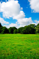 spring summer landscape with meadow, green grass, blue cloudy sky, trees and bushes in bright day