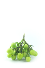 Green aubergine eggplant isolated on white background