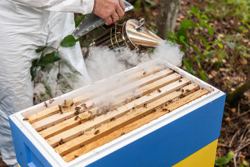 the process of extracting honey from the hive