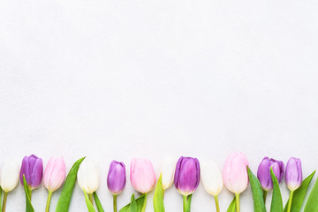Border of pink and white tulips on light background. Mother's day, Valentines Day, Birthday celebration concept. Copy space, top view