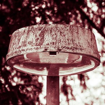 Old diry street lamp under tree