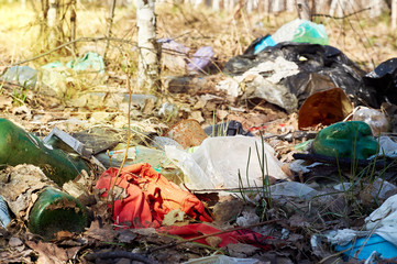 garbage lying in the forest. People pollute the environment. ecological problem