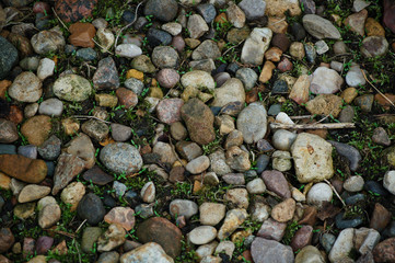 pebbles on the beach