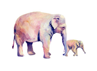 Mother and child of Asian elephants. Watercolor print. Printing typography for children's books.