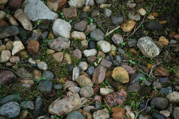 stones and grasses