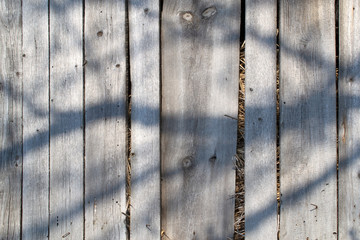 Old boards wall background texture with hay from the back and tree shadow in front