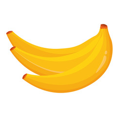 Bunch of fresh bananas vector illustration. Isolated on white background. Healthy food concept. Yellow banana icon.