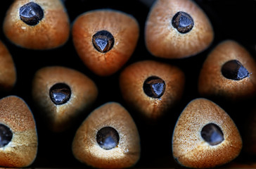 close-up of pencils