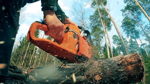 Chainsaw is getting used by a person to cut wood