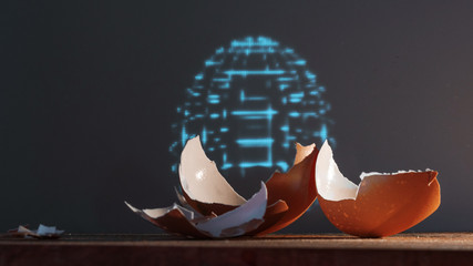 Fragments of eggshells and a hologram of an entire artificial egg.