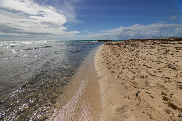 Sandy beach in the Caribbean Sea 