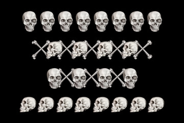 Human skeleton borders set. Halloween graphic isolated