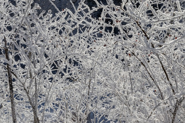 Mountains in winter, forest in the mountains