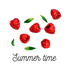 raspberry watercolor illustration vector hello summer slogan