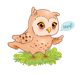 Funny owl print
