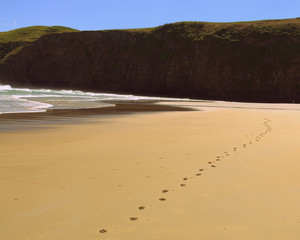 Fototapeta na wymiar Footprints on the sand of a wild beach in Otago Peninsula,New Zealand