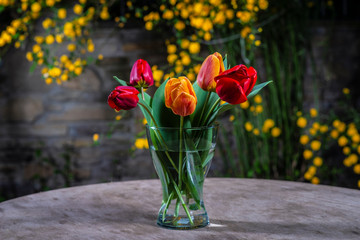A bouquet of fresh tulips