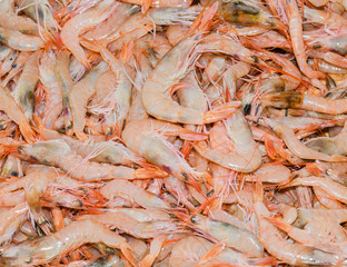 Istanbul, Turkey, 20.12.2019: Fresh seafood on the counter top of the fish market, for sale