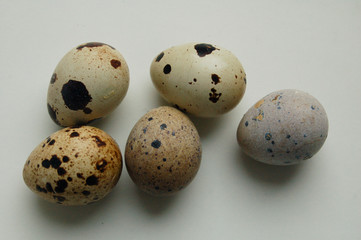 quail eggs on wooden table