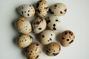 Quail eggs pattern. Big collection of quail eggs on white background. Easter concept. Flat lay, top view, copy space