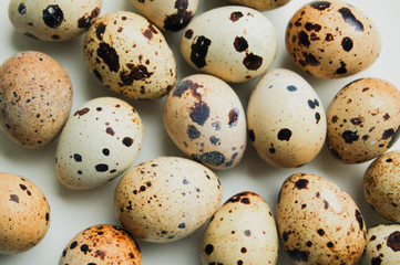 quail eggs on white