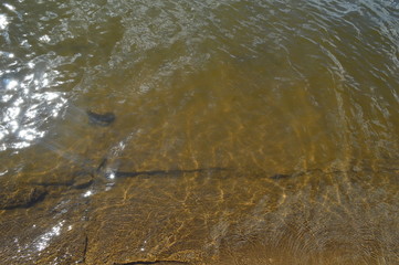  Clear water, sand at the bottom.